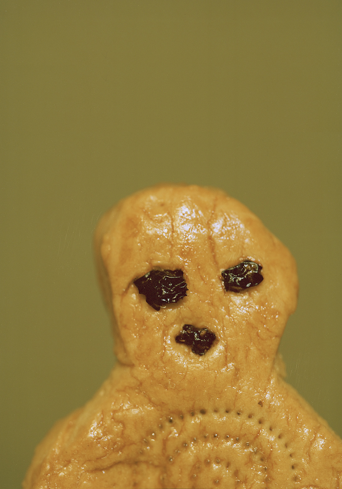 <p>2022/2024<br />
Family Constellations</p>
